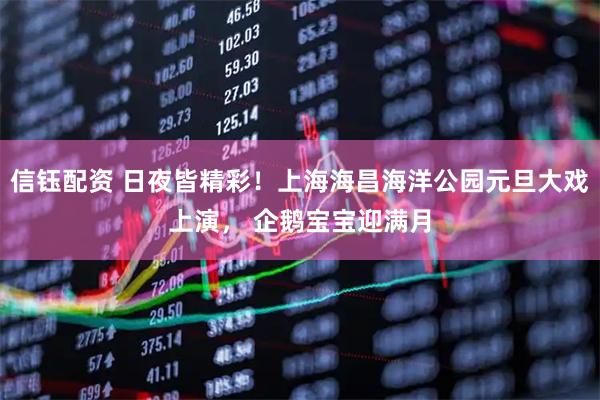 信钰配资 日夜皆精彩！上海海昌海洋公园元旦大戏上演， 企鹅宝宝迎满月