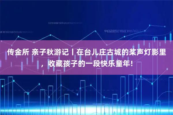 传金所 亲子秋游记丨在台儿庄古城的桨声灯影里，收藏孩子的一段快乐童年!