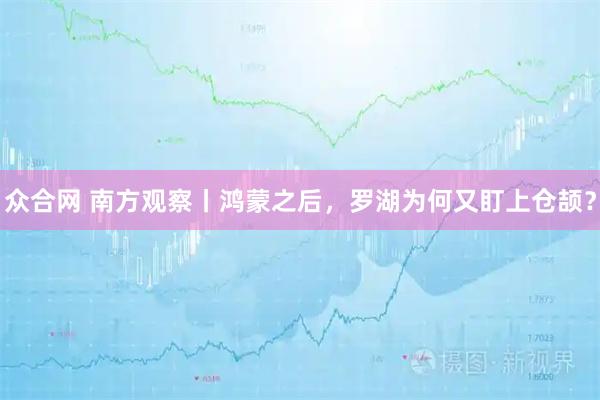 众合网 南方观察丨鸿蒙之后，罗湖为何又盯上仓颉？